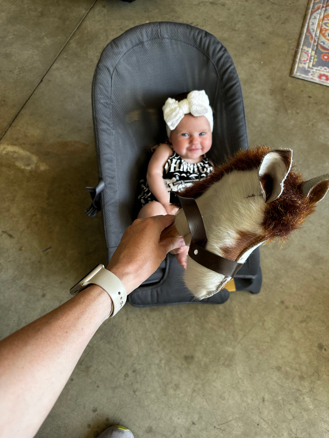 Stick Horses